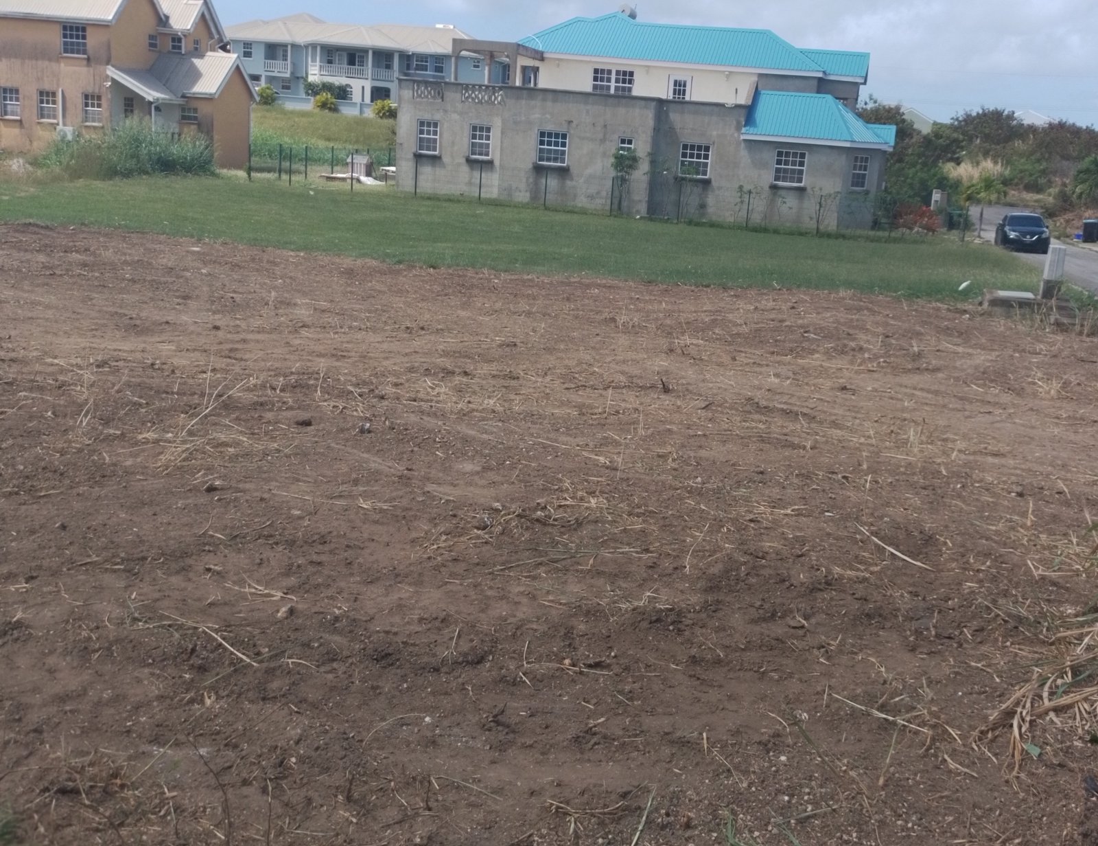 Site Clearing Service