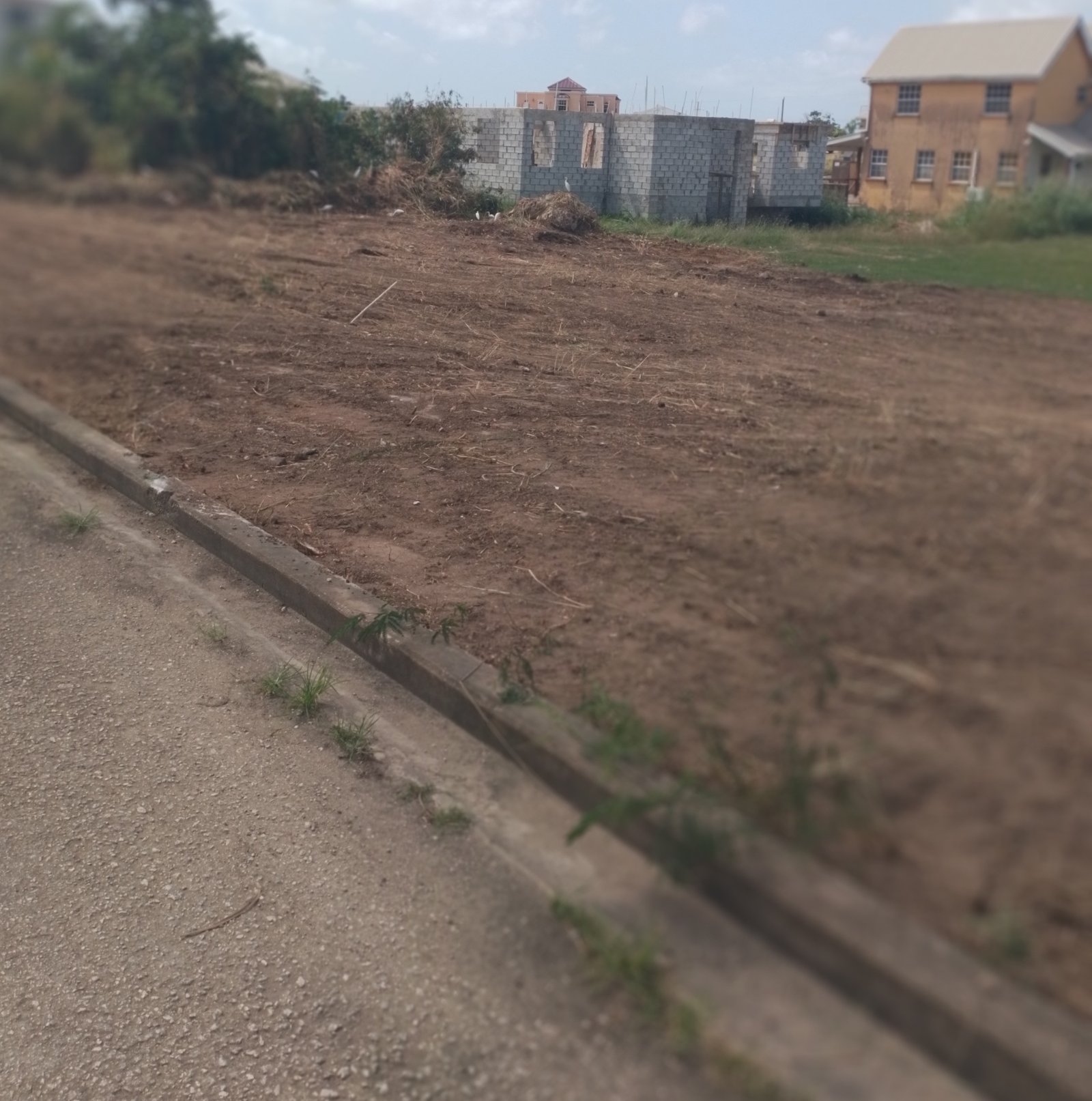 Site Clearing Service